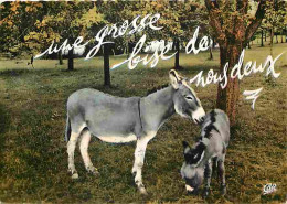 Animaux - Anes - Carte Humoristique - Anon - CPM - Voir Scans Recto-Verso - Donkeys