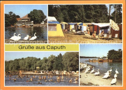 72497741 Caputh Gaststaette Faehrhaus Campingplatz Strandbad Caputh - Ferch