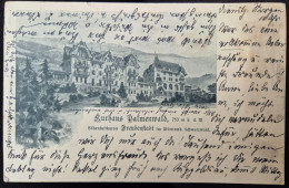 1905.Freudenstadt, Kurhotel Palmenwald, - Freudenstadt