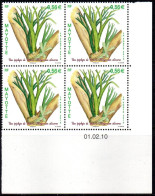 Mayotte Coin Daté YT 236 Platycerium Alcicorne Fougère épiphyte - Unused Stamps