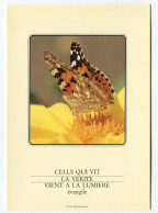 Papillon - Celui Qui Vit La Vérité Vient à La Lumière - évangile - Schmetterlinge