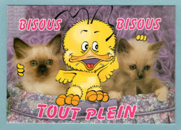 CP Chat - Bous Bisous Tout Plein - Création Imago - Katten