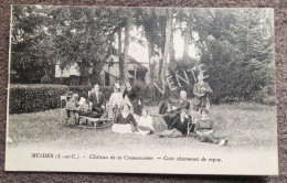 Carte Postale MUIDES : Château De La Cressonnière - Autres & Non Classés