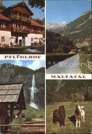 72496638 Millstatt Millstaettersee Alpenhotel Pflueglhof Maltatal Wasserfall Was - Autres & Non Classés