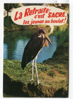 Oiseaux Marabout - La Retraite C'est Sacré Les Jeunes Au Boulot - Animaux Humoristiques - Pájaros