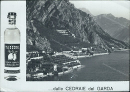Cr524 Cartolina  Pubblicitaria Dalle Cedraie Del Garda Cedrata Tassoni Piega - Werbepostkarten