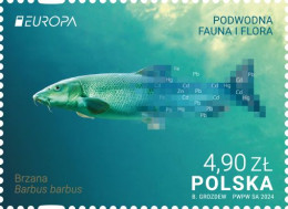 Poland 2024 / Underwater Fauna And Flora, Fish, Chemical Elements, Barbus Barbus / MNH** Stamp - Peces