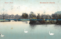 R098569 Swan Pond. Wandsworth Common. 1907 - World