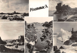 22-PLOUMANACH-N°341-D/0397 - Ploumanac'h