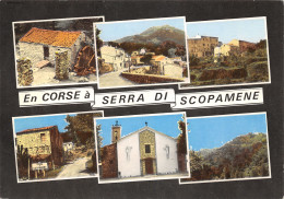 20-SERRA DI SCOPAMENE-N°341-C/0331 - Other & Unclassified
