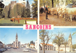 18-SANCOINS-N°341-C/0021 - Sancoins