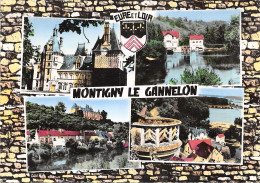 28-MONTIGNY LE GANNELON-N°342-C/0111 - Sonstige & Ohne Zuordnung