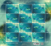 Poland 2024 / Underwater Fauna And Flora, Fish, Chemical Elements, Barbus Barbus, Animals / MNH** Full Sheet Of Stamps - Ongebruikt