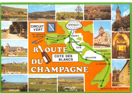 51-PANORAMA DE LA ROUTE DU CHAMPAGNE-N°344-D/0061 - Autres & Non Classés