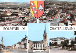 57-CHÂTEAU SALINS-N°345-A/0229 - Chateau Salins