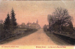 61 - Orne -  BRIOUZE -  Le Bas De La Rue De Flers - Carte Toilée - Briouze