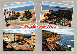 66-ARGELES SUR MER-N°346-B/0085 - Argeles Sur Mer