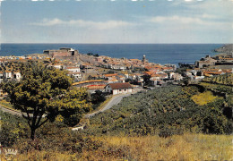 66-COLLIOURE-N°346-B/0069 - Collioure