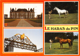 61-LE HARAS DU PIN-N°345-C/0365 - Other & Unclassified