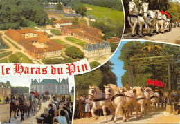 61-LE HARAS DU PIN-N°345-C/0335 - Other & Unclassified