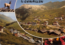 74-LE CHINAILLON-GRAND BORNAND-N°347-C/0173 - Autres & Non Classés