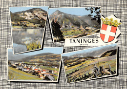 74-TANINGES-N°347-C/0125 - Taninges