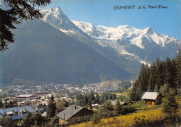 74-CHAMONIX-N°347-B/0241 - Chamonix-Mont-Blanc