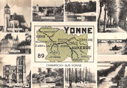 89-PANORAMA DE L YONNE-N°349-A/0087 - Other & Unclassified