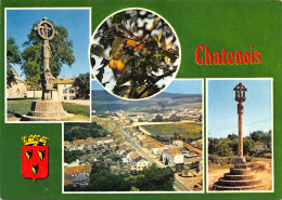 88-CHATENOIS-N°348-D/0357 - Chatenois