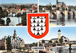 87-LIMOGES-N°348-D/0325 - Limoges