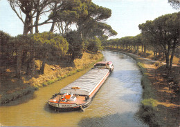 82-LE CANAL DU MIDI-N°348-C/0003 - Other & Unclassified