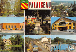 91-PALAISEAU-N°349-A/0393 - Palaiseau
