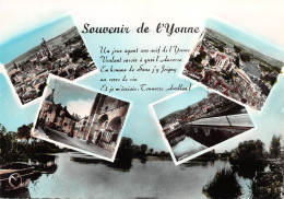 89-PANORAMA DE L YONNE-N°349-A/0239 - Sonstige & Ohne Zuordnung