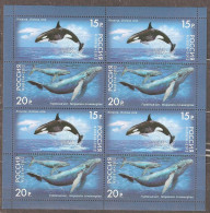 Russia: Mint Sheet, Marine Life - Whales, 2012, Mi#1788-9, MNH - Mundo Aquatico