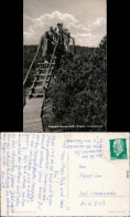 Zinnwald Georgenfeld-Altenberg (Erzgebirge)  Holz-Brücke 1963 - Altenberg