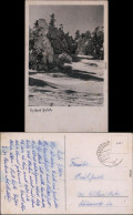 Ansichtskarte  Schneebedeckte Nadelbäume Winterlandschaft 1944 - Unclassified