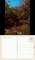 Ansichtskarte Leverkusen Japanischer Garten 1995 - Leverkusen