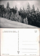 Ansichtskarte Altenberg (Erzgebirge) Sprungschanze Am Alten Raupennest Ff 1977 - Altenberg