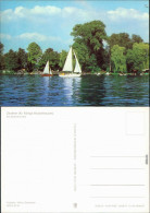 Ansichtskarte Schmöckwitz-Berlin Zeuthener See Mit Segelbooten 1985 - Schmöckwitz