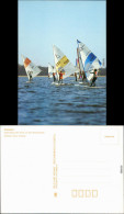 Ansichtskarte Potsdam Osterregatta Der Surfer Auf Dem See 1989 - Potsdam