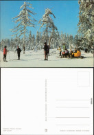 Ansichtskarte  Skifahrer Am Waldrand 1982 - Wintersport