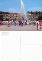 Potsdam Schloss Sanssouci - Springbrunnen Mit Riesen Fontäne 1981 - Potsdam