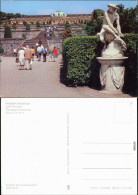 Ansichtskarte Potsdam Schloss Sanssouci Mit Plastik Im Vordergrund 1981 - Potsdam