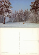 Ansichtskarte  Wald Im Winter Mit Schnee, Stimmungsbild 1985 - Zonder Classificatie