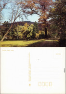 Ansichtskarte  Stimmungsbilder: Gärten Am Waldesrand 1989 - Ohne Zuordnung