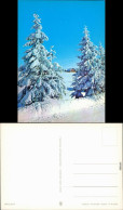 Ansichtskarte  Stimmungsbild Winter, Bäume Und Hütte Im Schnee 1985 - Ohne Zuordnung