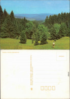 Ansichtskarte  Stimmungsbild, Mensch Auf Bergwiese Mit Wald 1987 - Ohne Zuordnung