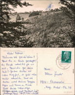 Ansichtskarte Frauenwald Panorama-Ansicht 1965 - Autres & Non Classés