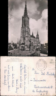 Ansichtskarte Ulm A. D. Donau Ulmer Münster 1956 - Ulm