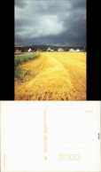 Ansichtskarte  Geerntetes Feld Mit Ortschaft, Stimmungsbild 1989 - Ohne Zuordnung